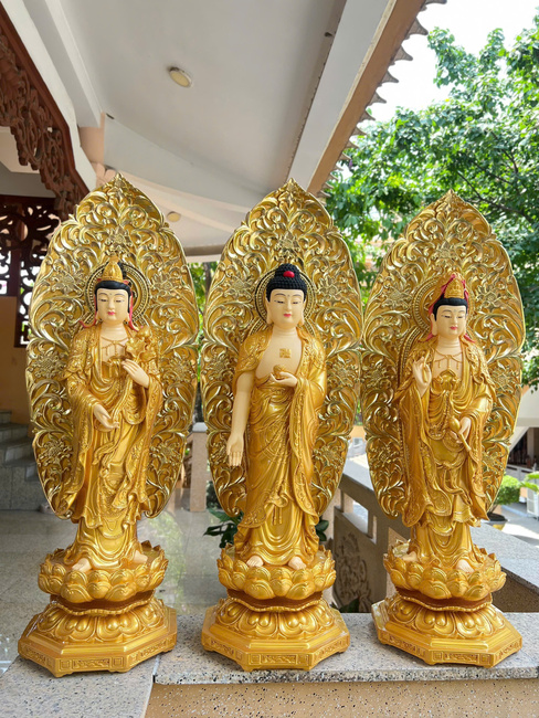 Tây Phương Tam Thánh 65cm sơn vàng